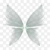 蝴蝶画羽毛翅膀透明背景-空若网 蝴蝶画羽毛翅膀透明背景-空若网
