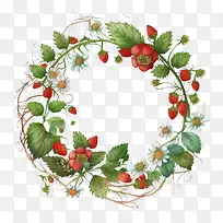 ˮ�ʲ�ݮ-ˮ�ʲ�ݮ�ֻ�Ұ��ݮˮ�ʲ�ݮ����ˮ�ʲ�ݮ��-������