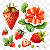 ˮ�ʲ�ݮ-ˮ�ʲ�ݮˮ��ˮ��������ݮ��Ƭˮ��-������