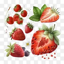 水彩草莓-水彩草莓水彩水果整个草莓切片水果-空若网 水彩草莓-水彩草莓水彩水果整个草莓切片水果-空若网