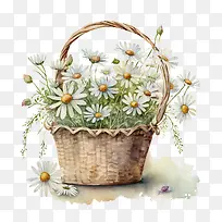 ˮ�ʳ���-ˮ�ʳ���������ĳ���-������