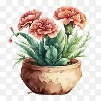 水彩康乃馨-水彩叶子-空若网 水彩康乃馨-水彩叶子-空若网