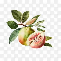 ˮ�ʷ�ʯ��-ˮ�ʷ�ʯ��ˮ��ˮ��-������