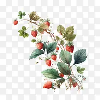 ²ÝÝ®-Ë®²ÊÒ¶×Ó-¿ÕÈôÍø ²ÝÝ®-Ë®²ÊÒ¶×Ó-¿ÕÈôÍø