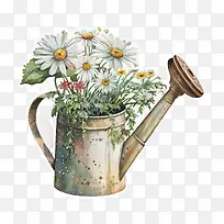 水彩雏菊-水彩雏菊复古雏菊喷壶-空若网 水彩雏菊-水彩雏菊复古雏菊喷壶-空若网