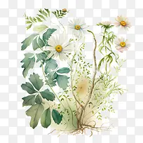 ˮ�ʳ���-ˮ��Ҷ��-������