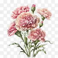 ˮ�ʿ���ܰ-ˮ�ʿ���ܰ��ɫ����ܰ����ܰ��������ܰ-������