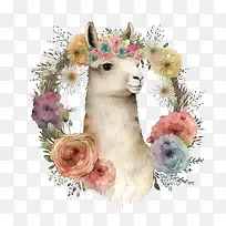 ˮ������-ˮ�����������뻨Ȧ-������