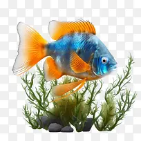 ˮ����-ˮ�����ȴ���-������