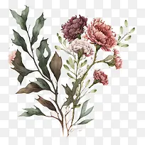 水彩康乃馨-水彩花-空若网 水彩康乃馨-水彩花-空若网