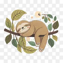 可爱的树懒-可爱的树懒睡觉的树懒懒惰的睡觉的树懒-空若网 可爱的树懒-可爱的树懒睡觉的树懒懒惰的睡觉的树懒-空若网