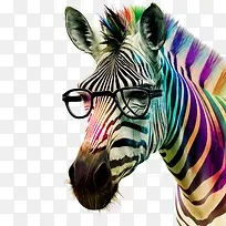 �߲ʰ���-�߲ʰ�����ʰ������۾��İ���-������