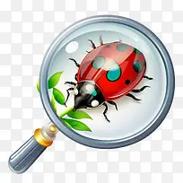 放大镜-放大镜-空若网 放大镜-放大镜-空若网