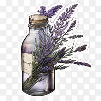 ޹�²�-޹�²�-������