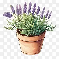 Ê¢¿ªµÄÞ¹Ò²Ý-Ê¢¿ªµÄÞ¹Ò²ݿɰ®µÄÞ¹Ò²ÝÞ¹Ò²ÝÔÚ¹øÀï-¿ÕÈôÍø Ê¢¿ªµÄÞ¹Ò²Ý-Ê¢¿ªµÄÞ¹Ò²ݿɰ®µÄÞ¹Ò²ÝÞ¹Ò²ÝÔÚ¹øÀï-¿ÕÈôÍø