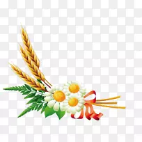 摄影-Kartikeya-空若网 摄影-Kartikeya-空若网