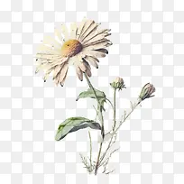 ˮ�ʳ���-ˮ�ʳ���ˮ������-������