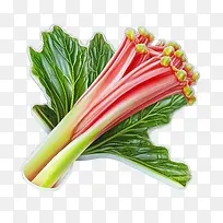 大黄-大黄3d大黄蔬菜-空若网 大黄-大黄3d大黄蔬菜-空若网