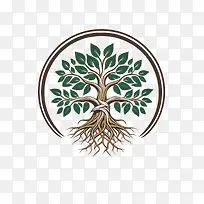 家谱——生命之树-空若网 家谱——生命之树-空若网