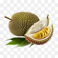 榴莲果-榴莲果3D榴莲榴莲果水果-空若网 榴莲果-榴莲果3D榴莲榴莲果水果-空若网