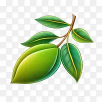 ��ͨâ��-����ʳƷ-������