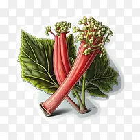 卡通大黄-卡通大黄大黄束芜菁甘蓝芜菁甘蓝食谱芜菁甘蓝植物-空若网 卡通大黄-卡通大黄大黄束芜菁甘蓝芜菁甘蓝食谱芜菁甘蓝植物-空若网