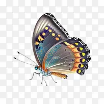 �������������ĳ��-������