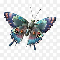 蝴蝶-翅膀-空若网 蝴蝶-翅膀-空若网