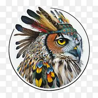 抽象猫头鹰-抽象猫头鹰猫头鹰羽毛头带多彩-空若网 抽象猫头鹰-抽象猫头鹰猫头鹰羽毛头带多彩-空若网