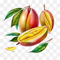 成熟的芒果-芒果-空若网 成熟的芒果-芒果-空若网