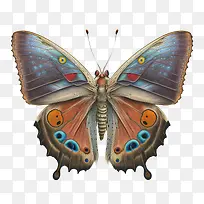 ����-����3d������ʸ�����ϸ-������