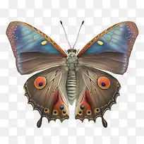 ����-���-������