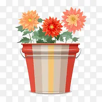 大丽花-橙色-空若网 大丽花-橙色-空若网