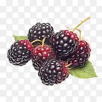 ��ݮ-��ݮ��ݮˮ����ݮ���ʽ������콬��-������