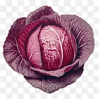 �����-����ʳƷ-������