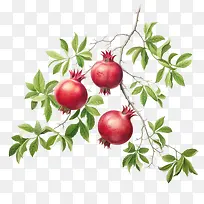 ʯ��-����-������