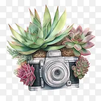 ˮ�����-ˮ������������ֲ��-������