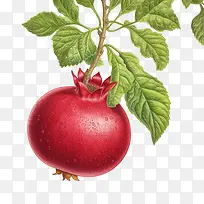 ʯ��-����-������