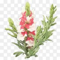 �����-�����ƽ�����ݷۺ�ɫ��ɫ��ɫ-������