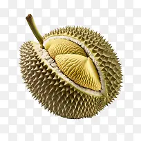 榴莲-榴莲3d榴莲成熟水果食品-空若网 榴莲-榴莲3d榴莲成熟水果食品-空若网