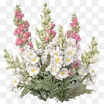 �����-����ݽ���ݻ����ۺ�ɫ��ɫ-������