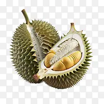 榴莲-榴莲3D榴莲新鲜水果榴莲泰国-空若网 榴莲-榴莲3D榴莲新鲜水果榴莲泰国-空若网