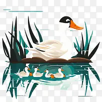 鸭子-鸭子平鸭子鸭子鸭子池塘-空若网 鸭子-鸭子平鸭子鸭子鸭子池塘-空若网