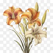 ���Űٺ�-�ٺϻ�-������