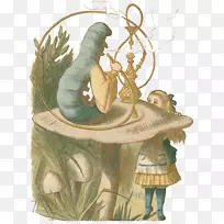 ����˿���ɾ��е�����-�Ӿ����￴����ëë���è���Լ�����˿�����﷢�ֵİ���-����˿���ɾ��﷢�ֵĶ�����-������