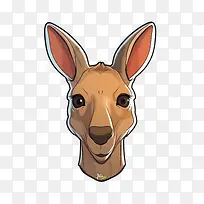 袋鼠-袋鼠袋鼠澳大利亚野生动物-空若网 袋鼠-袋鼠袋鼠澳大利亚野生动物-空若网