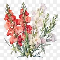 金鱼草-金鱼草金鱼草花红色白色紫色-空若网 金鱼草-金鱼草金鱼草花红色白色紫色-空若网