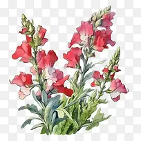 �����-����ݽ���ݻ���ɫ����ˮ�ʻ����ܲ廭-������