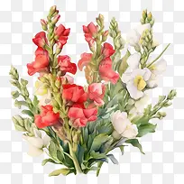 金鱼草-金鱼草金鱼草花玫瑰花束鲜花-空若网 金鱼草-金鱼草金鱼草花玫瑰花束鲜花-空若网