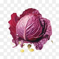 �����-����������Ҷ���߲����߲˶��ʳƷ-������